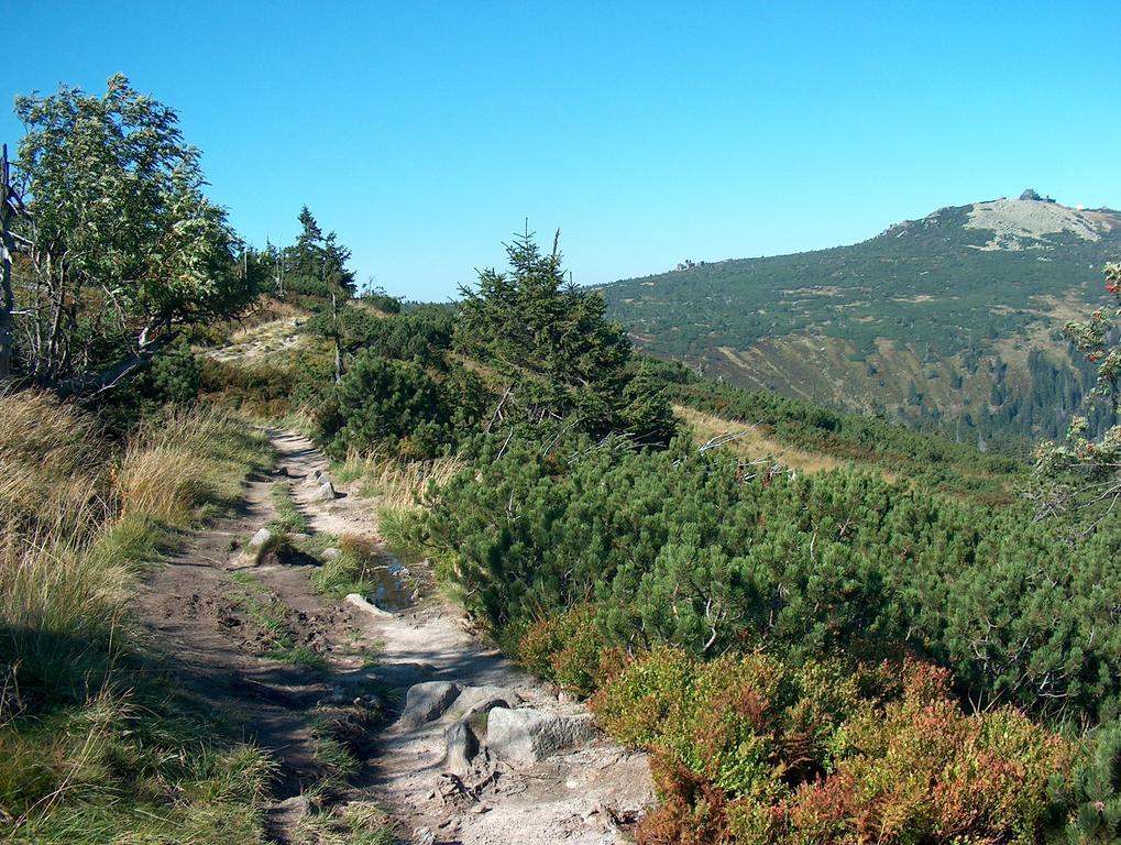 Penzion Podlesi Kořenov Buitenkant foto