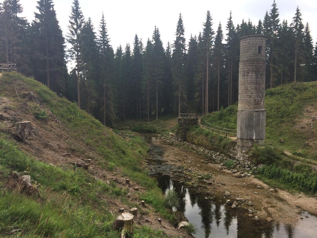 Penzion Podlesi Kořenov Buitenkant foto