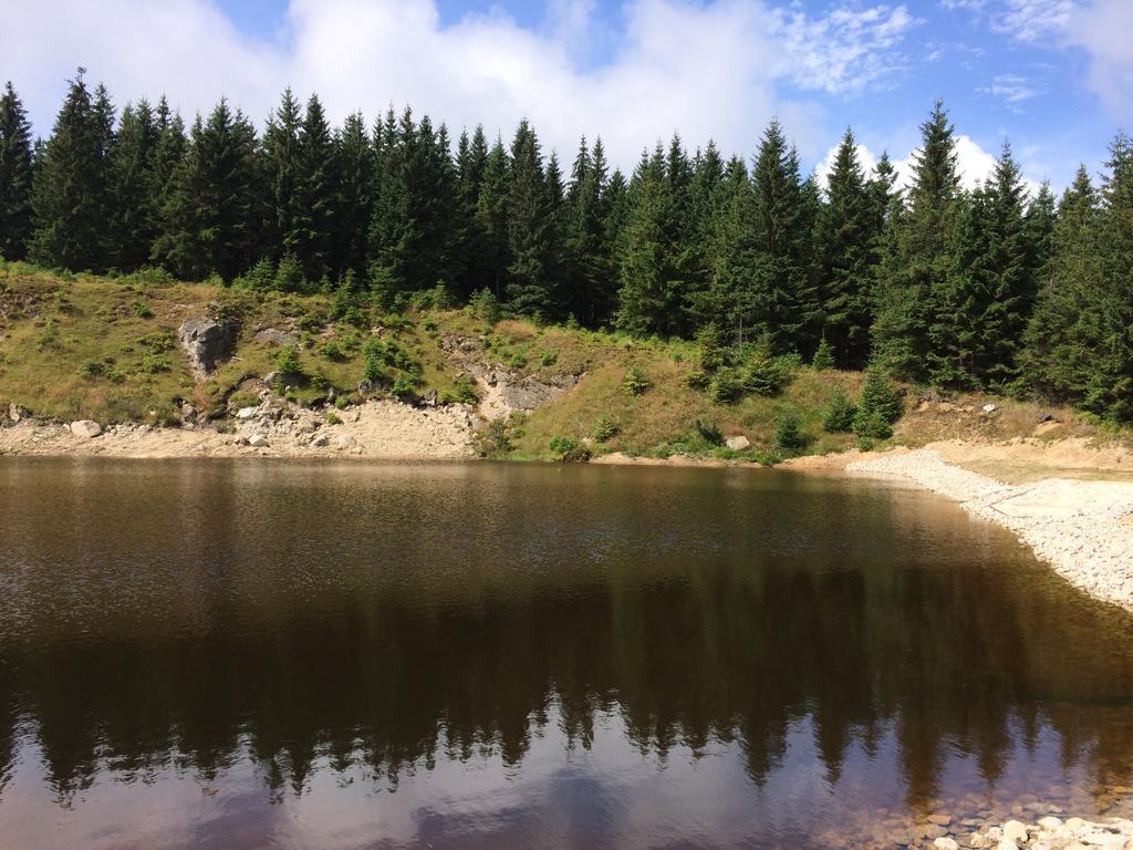 Penzion Podlesi Kořenov Buitenkant foto