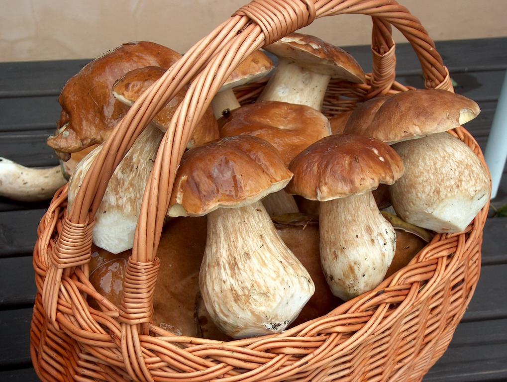 Penzion Podlesi Kořenov Buitenkant foto